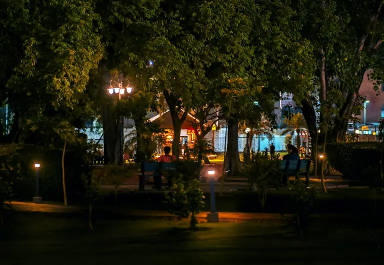People on a park bench in the evening